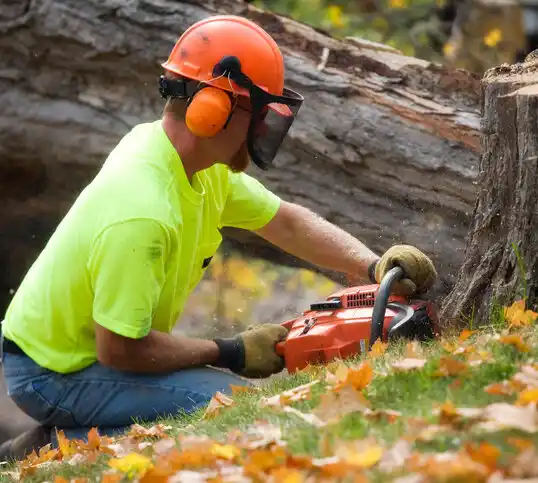 tree services Sidney